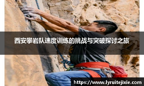 BB贝博登录入口