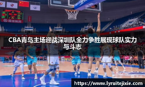 BB贝博登录入口