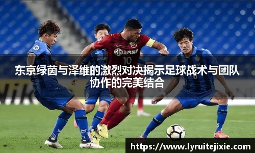BB贝博登录入口
