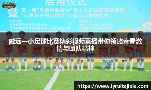 BB贝博登录入口